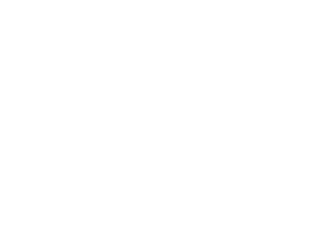 anthropic